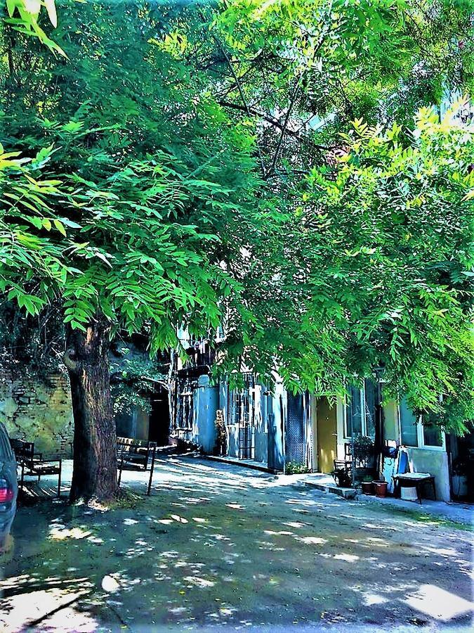 Very Center Of The Old City-Stylish Apartment Tiflis Dış mekan fotoğraf